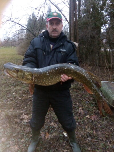 Northern Pike, 7.0 kg