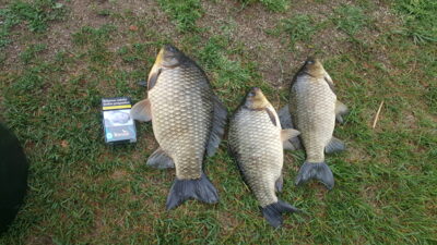 Sidabrinis karosas ×3