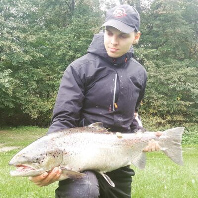 Atlantic salmon