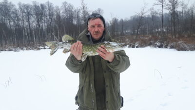 Northern Pike