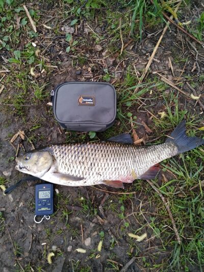 chub, 2.0 kg — Lėvuo