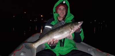 Pike perch, 4.0 kg