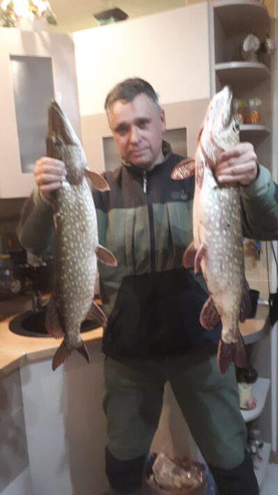 Northern Pike ×2