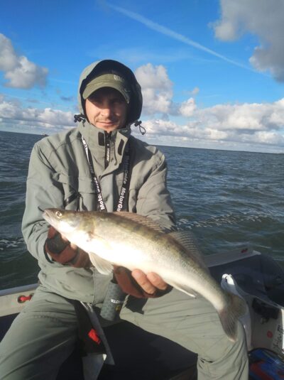 Pike perch