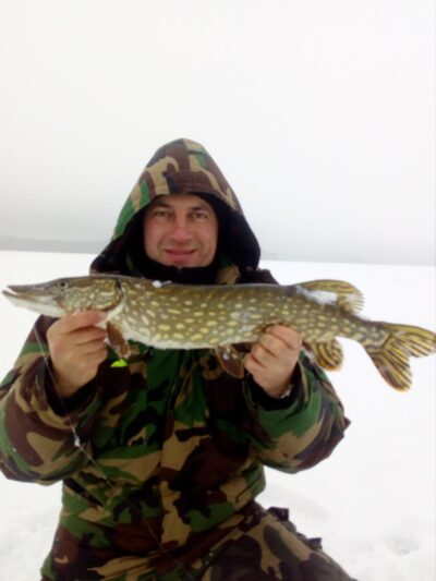 Northern Pike