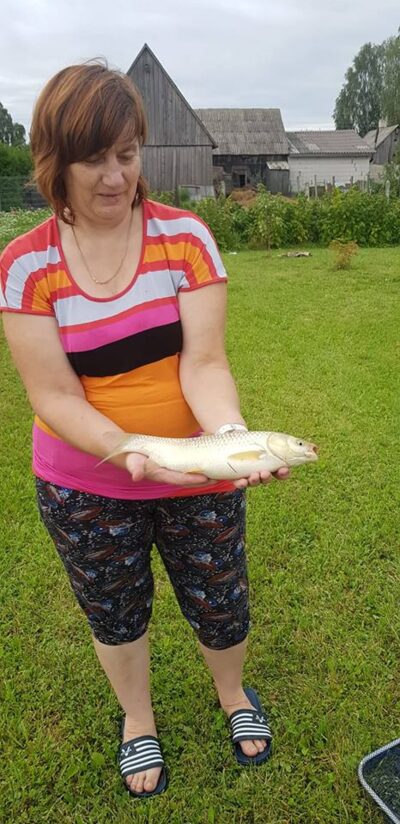 Grass carp