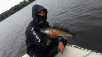 Pike perch