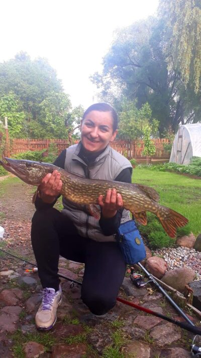 Northern Pike, 2.9 kg — Talkša