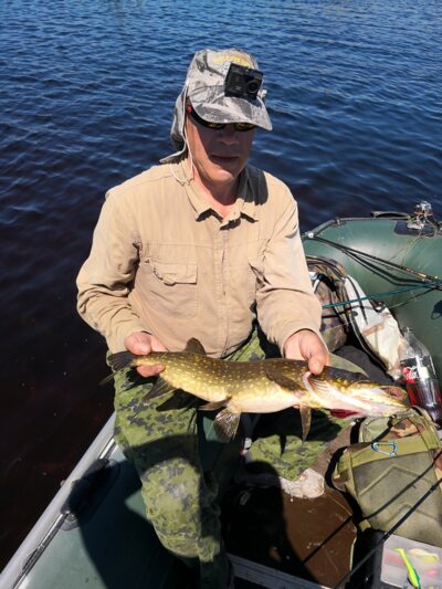 Northern Pike, 1.1 kg — Papes ezers