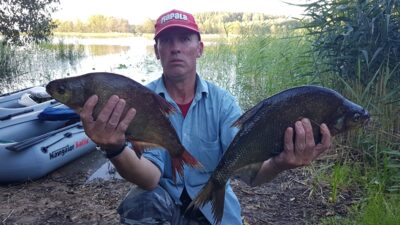 Carp bream ×2