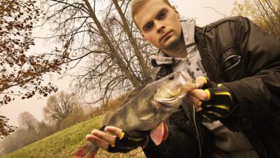 Eurasian perch, 0.8 kg — Elmininkų
