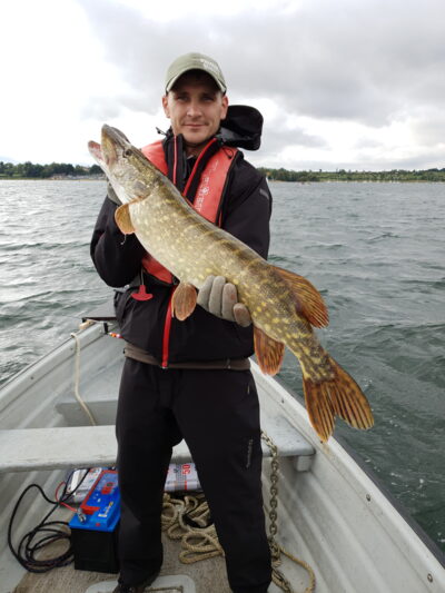 Northern Pike