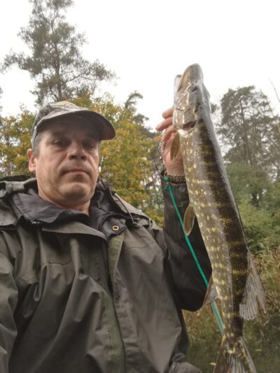 Northern Pike, 1.2 kg