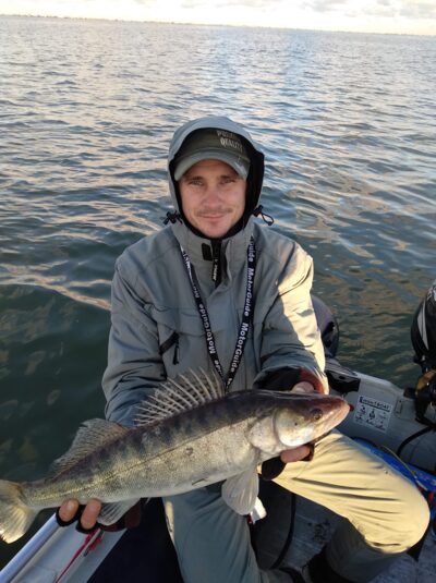 Pike perch