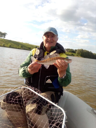 Pike perch