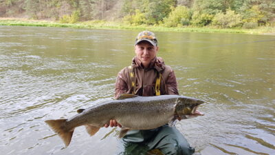 Atlantic salmon, 10.2 kg