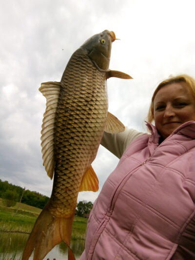 Carp, 3.7 kg