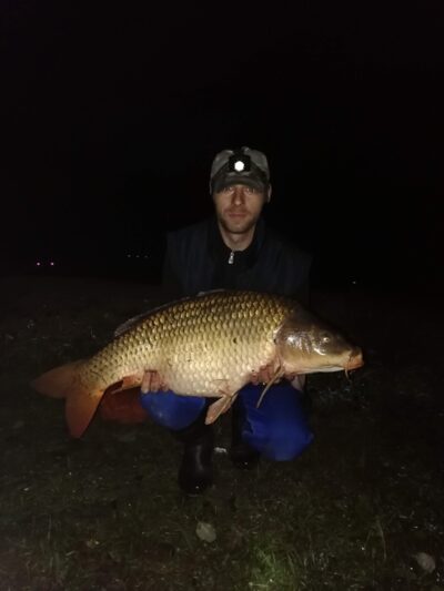 Carp, 11.4 kg