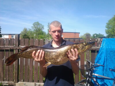 Northern Pike, 7.6 kg