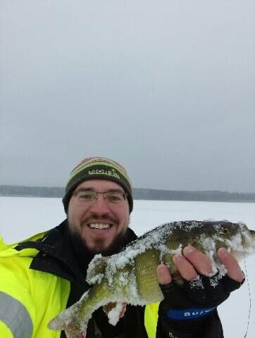 Eurasian perch, 0.8 kg