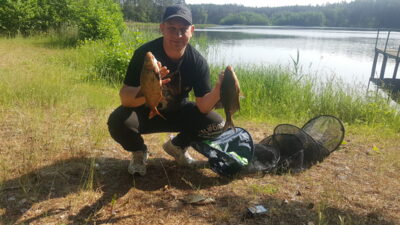 Carp bream ×2 — Pailgis