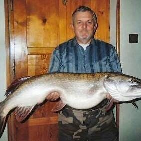 Northern Pike, 14.7 kg
