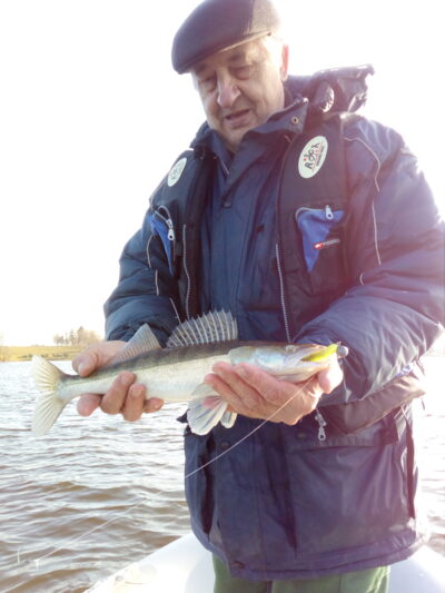 Pike perch