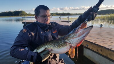 Northern Pike, 7.7 kg