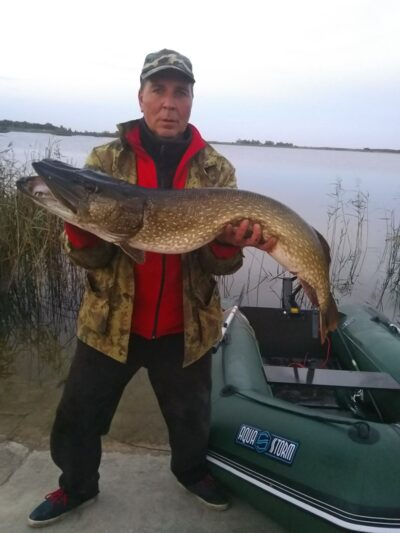 Northern Pike, 10.1 kg