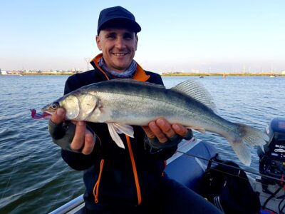 Pike perch