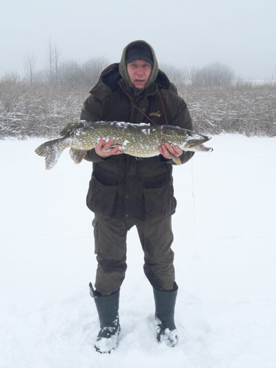 Northern Pike ×2 — Aunuvėnų