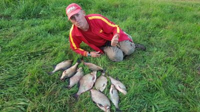 Carp bream ×9
