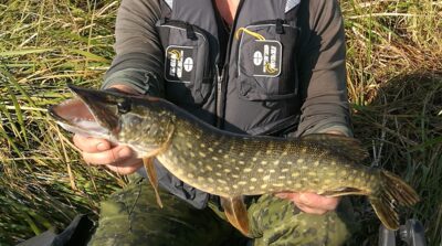 Northern Pike, 2.0 kg