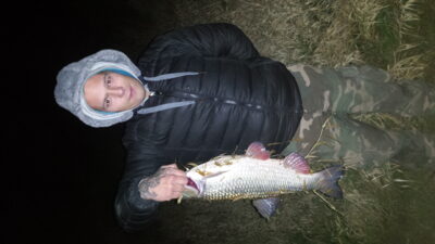 chub, 2.4 kg