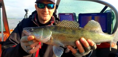 Pike perch