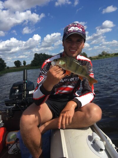 Eurasian perch