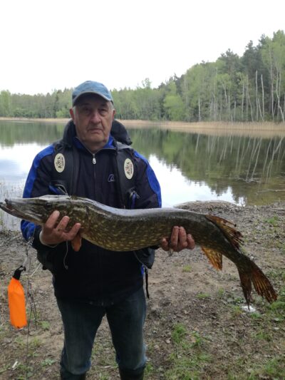 Northern Pike, 6.1 kg
