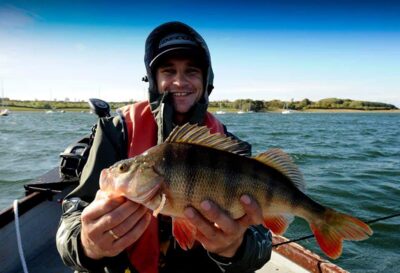 Eurasian perch