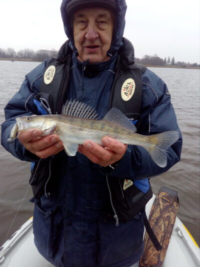 Pike perch