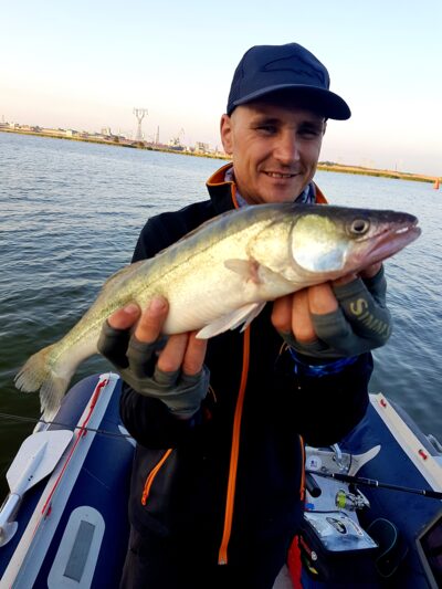 Pike perch