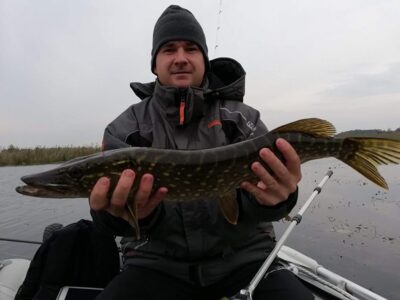 Northern Pike, 1.5 kg — Upaitis