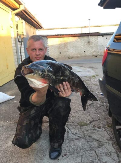 bighead carp, 5.5 kg