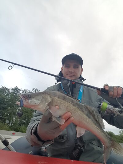 Pike perch