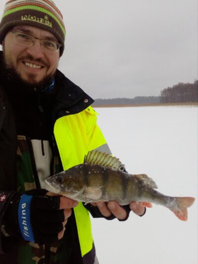 Eurasian perch, 0.4 kg