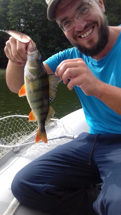 Eurasian perch