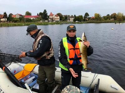 Northern Pike