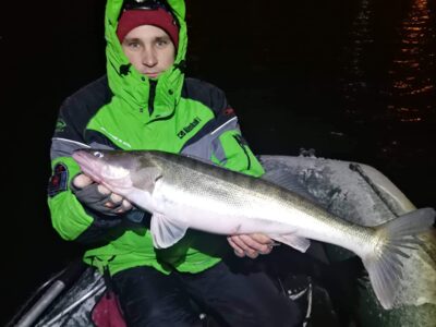 Pike perch