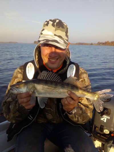 Pike perch