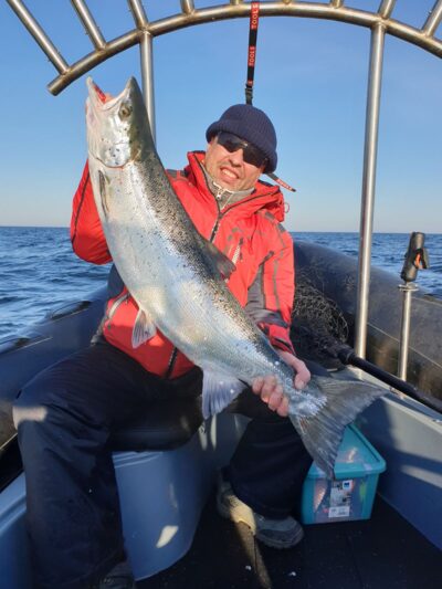 Atlantic salmon, 12.0 kg