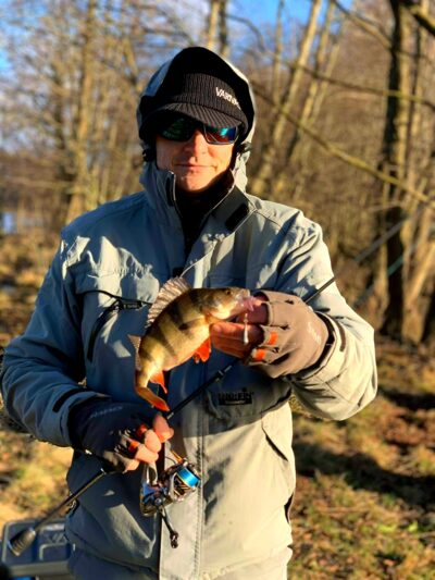 Eurasian perch